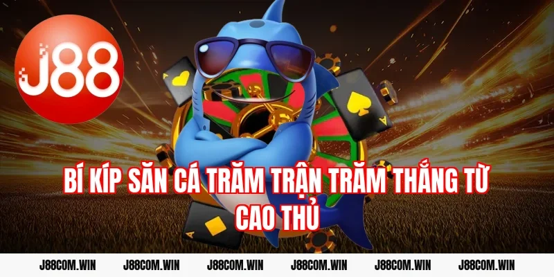 Bí kíp săn cá trăm trận trăm thắng từ cao thủ