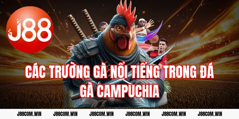 Các trường gà nổi tiếng trong đá gà Campuchia