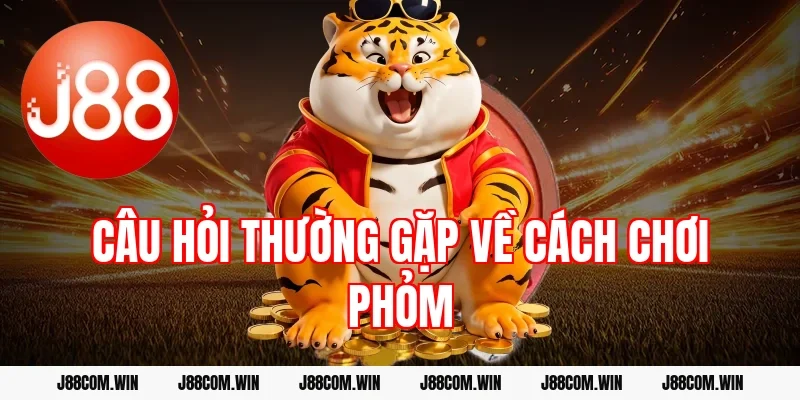 Câu hỏi thường gặp về cách chơi phỏm