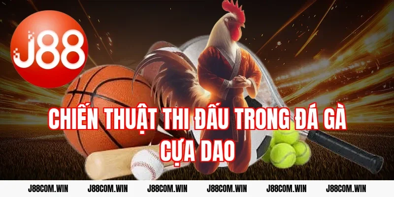 Chiến thuật thi đấu trong đá gà cựa dao