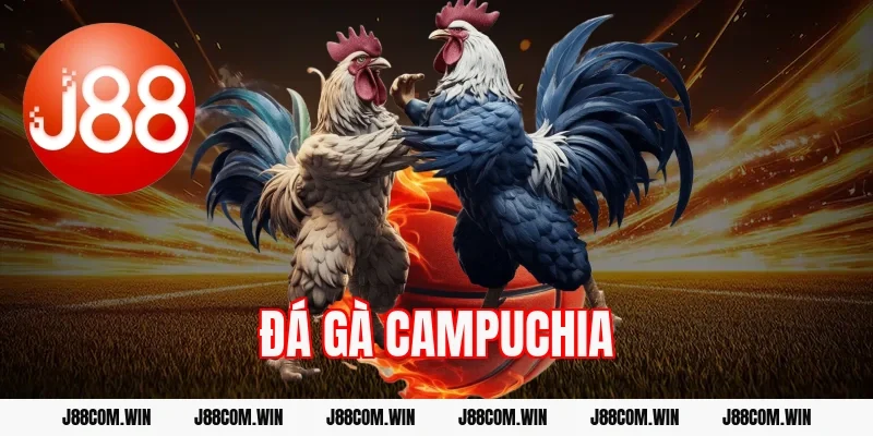 Đá gà Campuchia J88 Hot Hit – Trực tiếp mỗi ngày 24/7