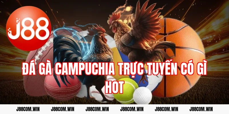 Đá gà Campuchia trực tuyến có gì hot