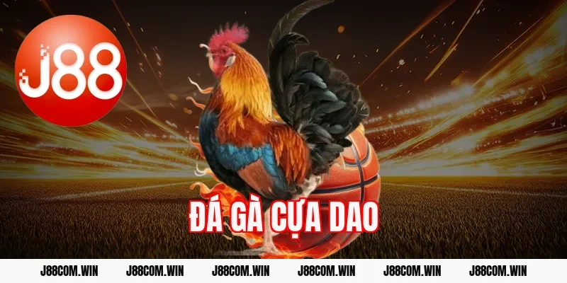 Đá gà Cựa Dao J88 – Kèo nhanh tỷ lệ thắng cao