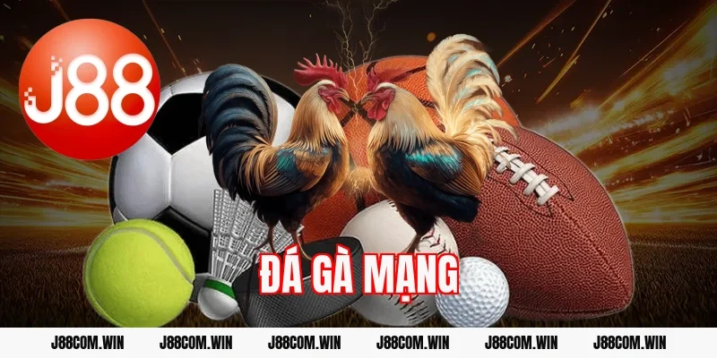 Đá gà mạng J88 – Cá cược online tốc độ cao cho bạn