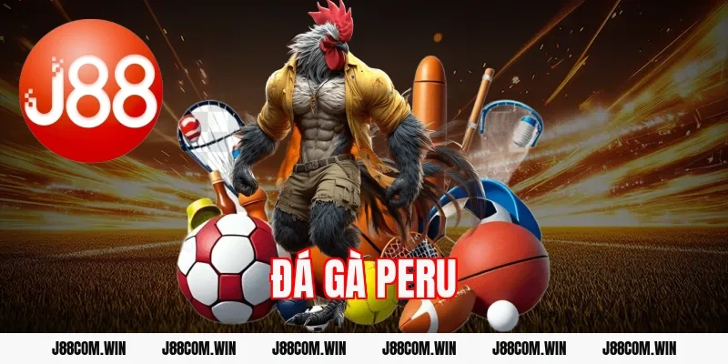 Đá gà Peru J88 – Trực tiếp cựa sắt chuẩn quốc tế