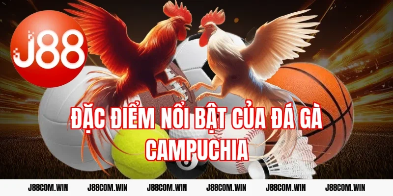 Đặc điểm nổi bật của đá gà Campuchia