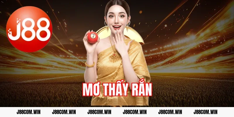 Mơ thấy rắn là điềm gì? Giải mã và con số liên quan