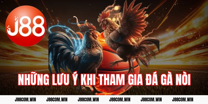 Những lưu ý khi tham gia đá gà nòi