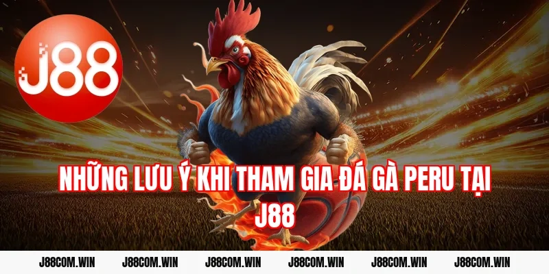 Những lưu ý khi tham gia đá gà Peru tại J88