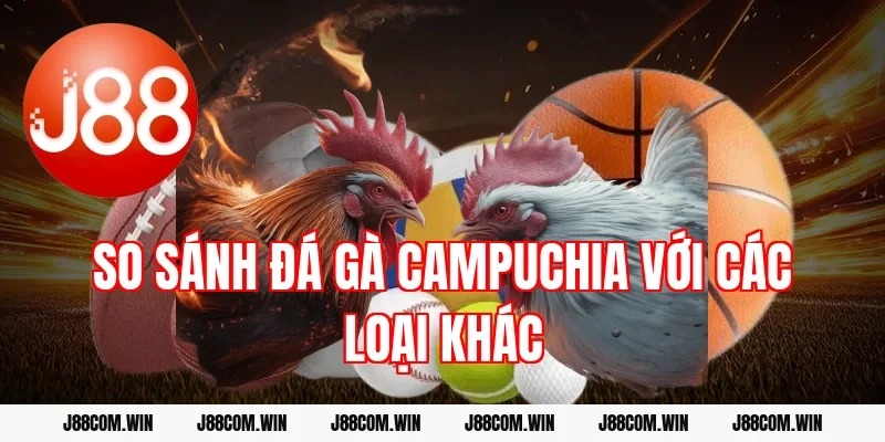 So sánh đá gà Campuchia với các loại khác