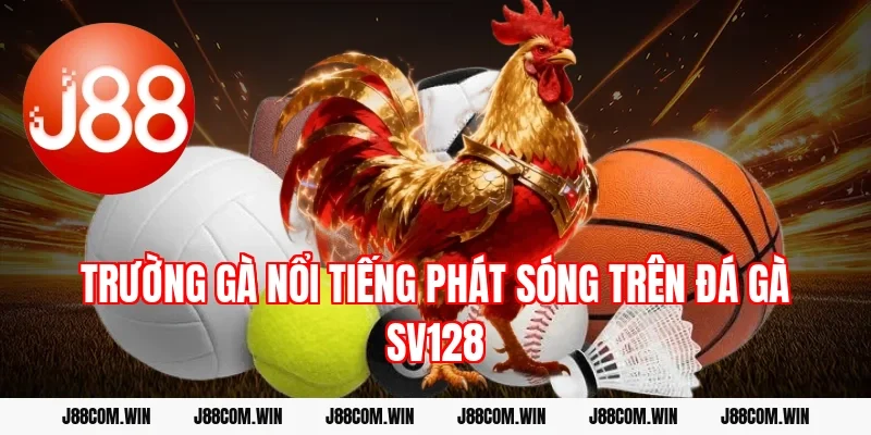 Trường gà nổi tiếng phát sóng trên Đá gà SV128