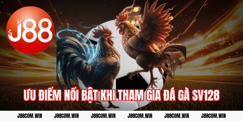 Ưu điểm nổi bật khi tham gia Đá gà SV128